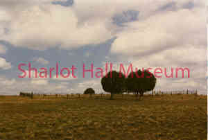 gallery-img